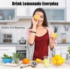 Stainless Steel Kitchen   Bar Lemon Orange Lime Squeezer Juicer Hand Press Tool