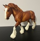 Breyer Cardinal 2022 Birds Of A Feather Web Special Shire Gelding