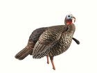 Avian-x Hdr Jake Turkey Decoy - Avx8105