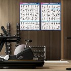 Dumbbell Workout Poster Set 2 Pack 44 Exercises Home Gym Charts 18x24 Waterproof