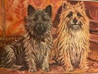 Vintage 1934 Cairn Terrier - F t  Daws  - Custom Matted - Dog Art Print Gift