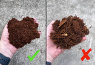 Premium  fluffy  Tree Fern Fiber  new Zealand  - Debris Free