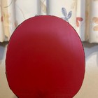 Butterfly Table Tennis Racket Marcos Freitas Alc