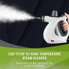 Handheld Pressurized Steam Cleaner 1050w High Temp Portable Steam Clean Machine
