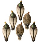 Higdon Standard Mallard 6-pack