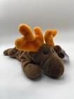 Ty Beanie Baby Chocolate The Moose