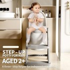 Toddler Potty Training Toilet Seat-alongside Foldable Potty Train Chair Adapt   