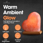 Himalayan Pink Rock Salt Heart Shaped Lamp  7   8  H  7   8 Lb