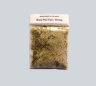 Fairy Shrimp 100  Branchinecta Packardi Eggs