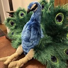 Folkmanis Peacock Hand Puppet Plush Large 16    Stuffed Animal Bird Toy