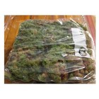 Live Sphagnum Moss  1 Gallon Bag  Fresh Organic Mixed Species Bog Garden Plants