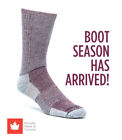 J b  Field s  hiker Gx  Colourful 74  Merino Wool Hiking Crew Sock