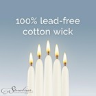 Stonebriar Tall 10  White Unscented 30 Count Taper Candles  7 30-pack  