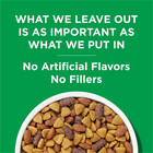 Purina Dog Chow Complete Dry Dog Food Adult Dogs Real Chicken 18 5 Lb Bag
