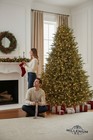 7 5 Ft  Eastcastle Balsam Fir Led Pre-lit Artificial Christmas Tree-1 200 Lights