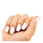 L a  Colors Color Craze Nail Polish  French Manicure  French White  0 44 Fl Oz