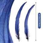 Ihufeather Natural Rooster Tail Feathers 50pcs 10-12inch Long Rooster Coque