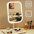 Niche Modern Desktop Vanity Mirror 3 Color Light Led Makeup Mirror Touching Mirr