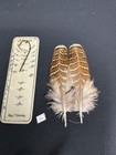 Cross Hybrid Pheasant Feathers