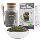 Organic Catnip Safe Premium Blend Perfect For Cats  Instilled With Maximized Pot