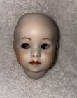 Antique Style Vintage Reproduction Sfbj  247 Doll Head 1987 Beautiful