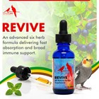 Morning Bird Revive For Birds