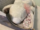 Dreamgro Lullaby Dreams Projector Soother Bunny Rabbit Light Show   Music Nib