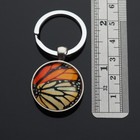 Monarch Butterfly Doubled Sided Picture Glass Cabochon Keychain Key Ring Gift