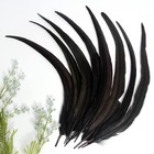 50pcs Rooster Coque Tail Feathers Bulk Natural 12-14inch 30-35cm For Crafting We