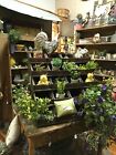 Antique Vintage Wood Mercantile Store Showcase Display Cabinet Case Cascading 