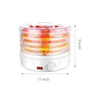 5-tray Food Dehydrator Machine Adjustable Portable Countertop Fruit Drying Hot
