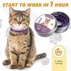 Sentry Industries Calming Collar For Cats 3ct Purple Assorted Sizes 3 Pack