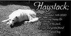 Personalized Pet Stone Memorial Grave Marker Granite Plaque Human Headstone Dog