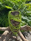 6 Collares Orula Orisha Santeria Yoruba Religion Orunmila 6 Collares Lukumi Ifa