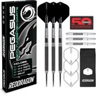 Pegasus 25g Tungsten Steeltip Darts Set With Flights  Shafts   Wallet