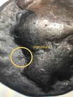  Bruttium Ex Rare  Terina Ar Stater  Engraver Phrygillos   Signature