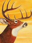 1950s  western Winchester  Vintage Style Deer Hunting Poster - 16x24