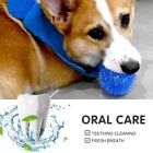 Premium Squeaky Dog Ball Squeaky Dog Toy Rubber Spike Ball Fetch Toy