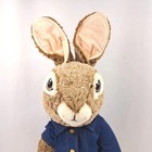 Dan Dee Standing Peter Rabbit Plush Collectors Choice 2020