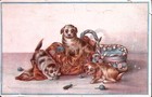 C1880 Puppies Chasing Bug Magic Yeast Cakes Ew Gillett Victorian Trade Card Z194