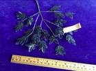 Vintage Millinery Flower Black Fern Leaf Spray With Light Lacquer Brittle Iy12