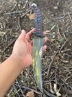 Handmade D2 Steel 13 Inch Bowie Knife Full Tang Tactical Outdoor Survival