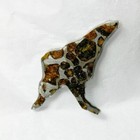 Sericho Pallasite Meteorite Slice Dog And Bear Shape From Kenya