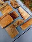 Lot Of Burl Wood  Spalted Curly Ambrosia Maple  Walnut  Craft Epoxy Turning Wood