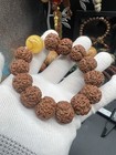 20  16mm High Quality Rudraksha Bracelet                                      20mm            
