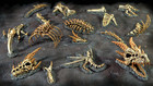 Scatter Terrain - Dragon Bones - Miniature Wargames - Warhammer 40k aos