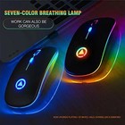 2 4ghz Wireless Optical Mouse Usb Rechargeable Rgb Cordless Mice For Pc Laptop