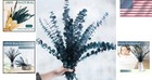 Natural 12 Pcs Eucalyptus Bundle - Fragrant 17  Greenery For Relaxation   Decor