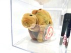 Ty Beanie Baby Babies Rare 3rd 1st Gen Tag Steg Tbb Authenticated Mwct