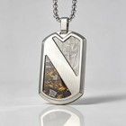 Muonionalusta And Sericho Pallasite Meteorite Pendant With A Certificate